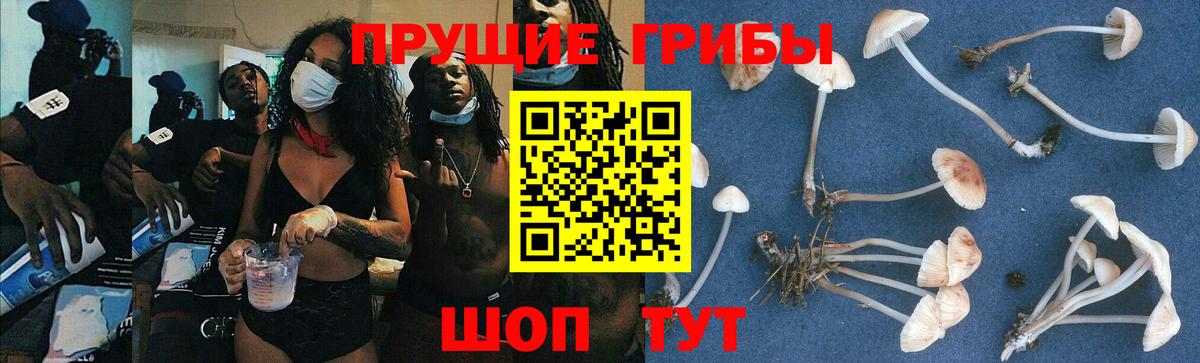 Псилоцибиновые грибы прущие грибы  Псилоцибиновые грибы ЛСД  Вход с VPN  Краснокаменск 